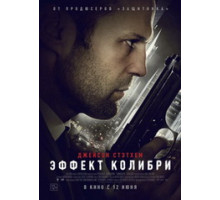 Эффект колибри (2012)