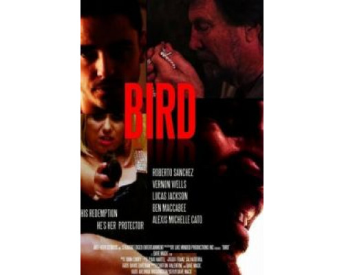 Bird (2020)