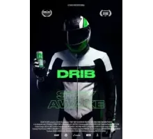 DRIB (2017)