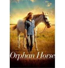 Orphan Horse (2018)