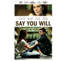 Say You Will (2017)