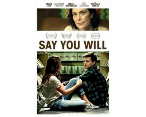 Say You Will (2017)