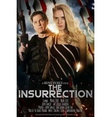 The Insurrection (2020)