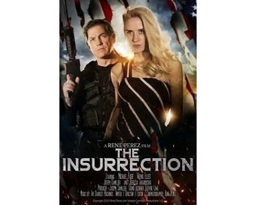 The Insurrection (2020)