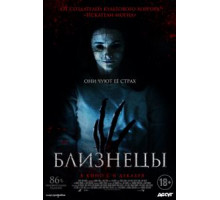 Близнецы (2017)