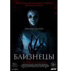 Близнецы (2017)