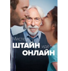 Мистер Штайн идёт в онлайн (2017)