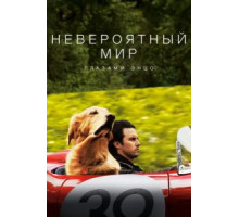 Невероятный мир глазами Энцо (2019)