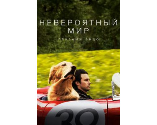 Невероятный мир глазами Энцо (2019)