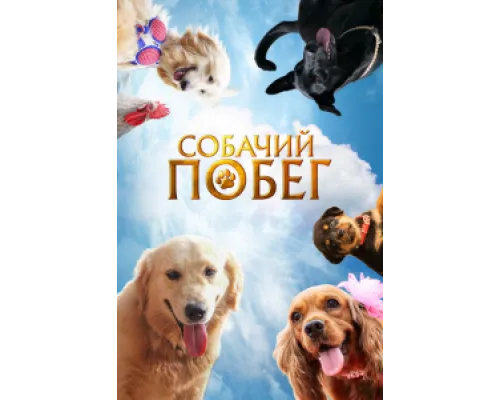  Собачий побег  ( 2023)